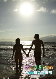 �����������������磨NP��