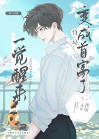 һ��������������׸���