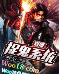 ֱ��׽��ϵͳ