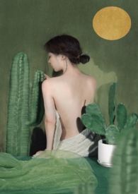 ��������NP��