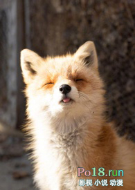 ˯�˷����ж�֮��1v1��