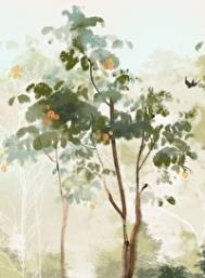 ��ʮ��������ѵ�