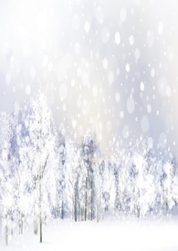 ���ӵ�����